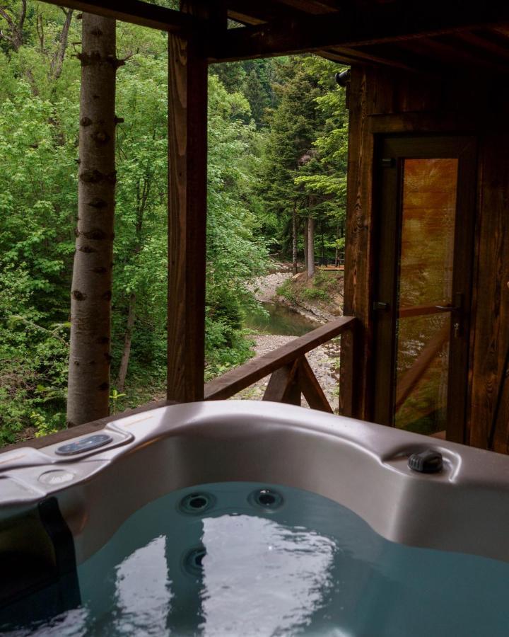 Novosiele Residence - Nad Gorska Rzeka - Lesne Spa Sauna Jacuzzi - Bieszczady Bystre  Exterior photo