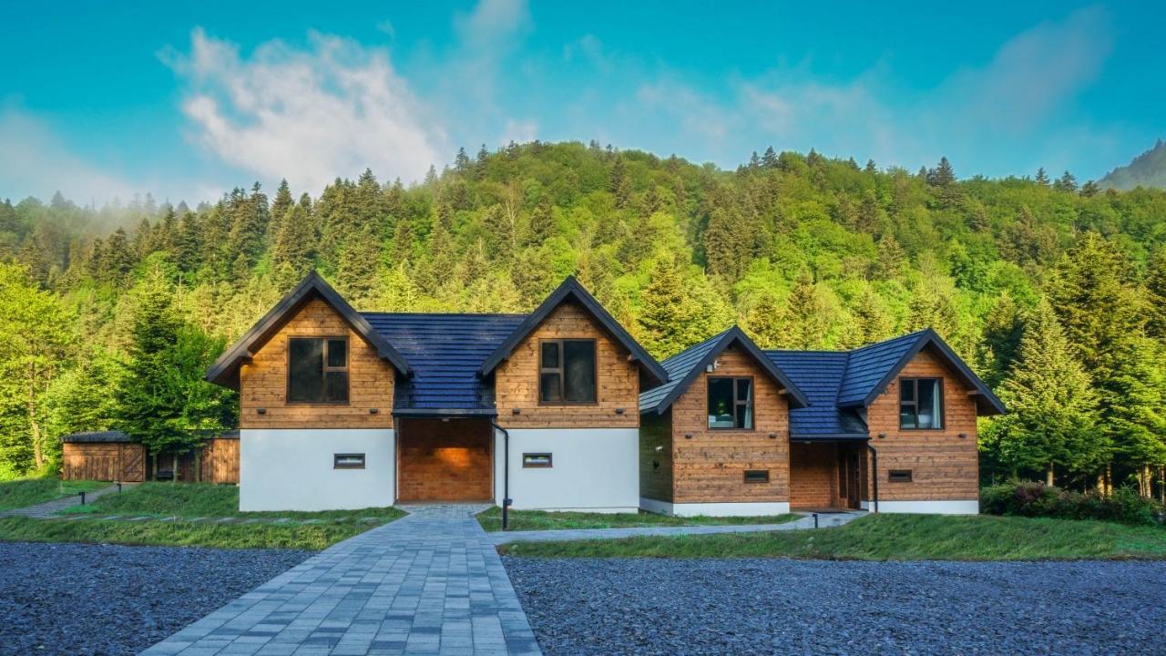 Novosiele Residence - Nad Gorska Rzeka - Lesne Spa Sauna Jacuzzi - Bieszczady Bystre  Exterior photo